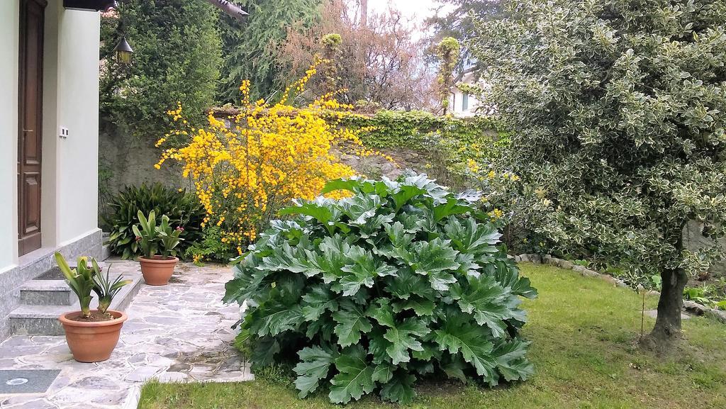 La Casa Di Bice Villa Dervio Bagian luar foto