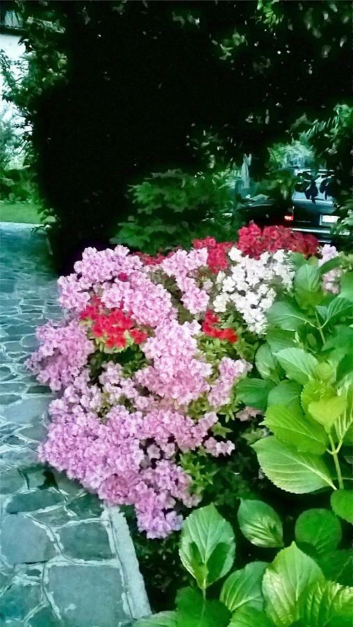 La Casa Di Bice Villa Dervio Bagian luar foto